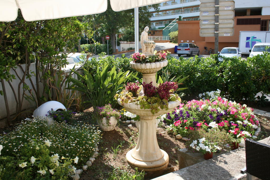 Apartment Don Miguel Port de Pollença